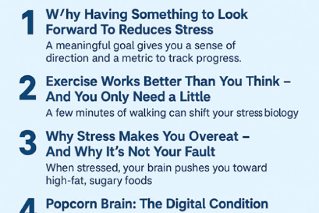 How Small Habits, Movement, and Digital Boundaries Can Transform Stress: What Science Now Shows